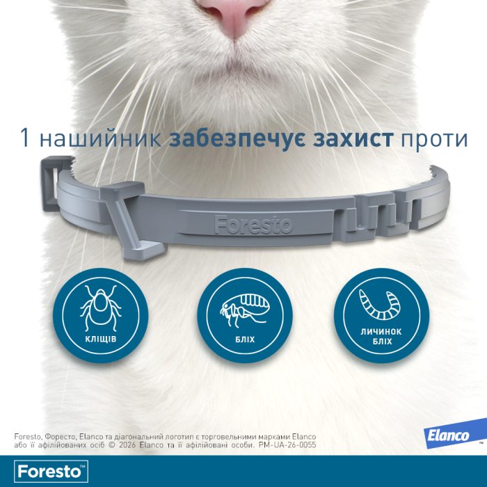 Elanco (Bayer) Foresto ошейник для собак и котов  38 см