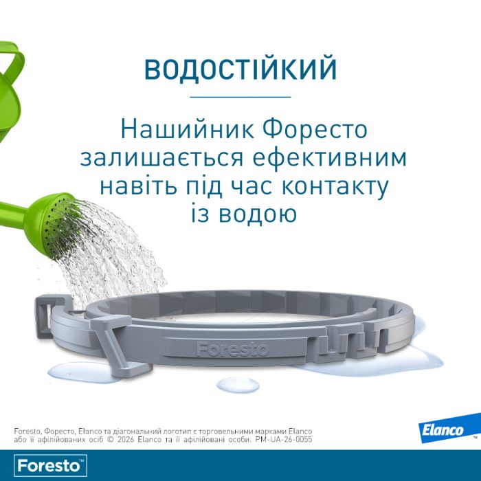 Elanco (Bayer) Foresto ошейник для собак и котов  38 см