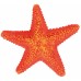 Грот для рыб TRIXIE - Морская звезда, 9 см, 12 шт