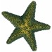 Грот для рыб TRIXIE - Морская звезда, 9 см, 12 шт  - фото 3