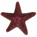 Грот для рыб TRIXIE - Морская звезда, 9 см, 12 шт  - фото 4