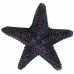Грот для рыб TRIXIE - Морская звезда, 9 см, 12 шт  - фото 5