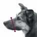 Намордник для собак TRIXIE,  окруж. морды 28-38см,  ремень  шеи 22-35 см  - фото 2