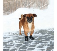 Защитные ботинки для собак TRIXIE - Walker Active XS, 2 шт..