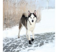 Защитные ботинки для собак TRIXIE - Walker Active L-XL, 2 шт..