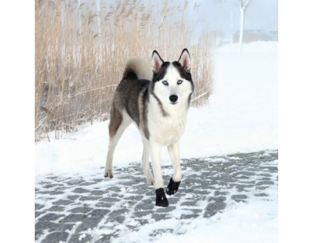 Защитные ботинки для собак TRIXIE - Walker Active XL, 2 шт
