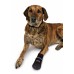 Захисні черевики для собак TRIXIE - Walker Care Comfort XXL, 2 шт