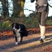 Комплект для бега с собакой TRIXIE, ремень: 60-120 см / 40 мм поводка: 1,00-1,35 м / 25 мм   - фото 2