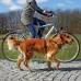 Поводок для поездок на велосипеде собак TRIXIE, 1-2м/25 мм  - фото 2