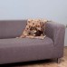 Підстилка-плед для собак TRIXIE - Laslo, 75x50см, Колір: бежевий  - фото 2