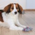 Носки для собак не скользящие TRIXIE, серые XS-S (2шт)  - фото 3