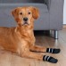 Шкарпетки для собак TRIXIE, XS-S. 2 шт