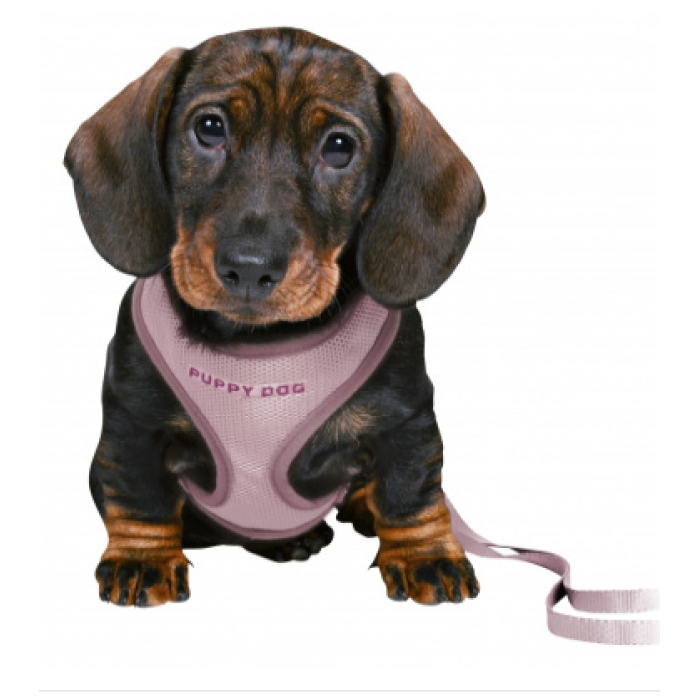 Мягкая шлейка с поводком для щенят"Junior", TRIXIE, 26-34см/10мм, 2.00м,сиреневый