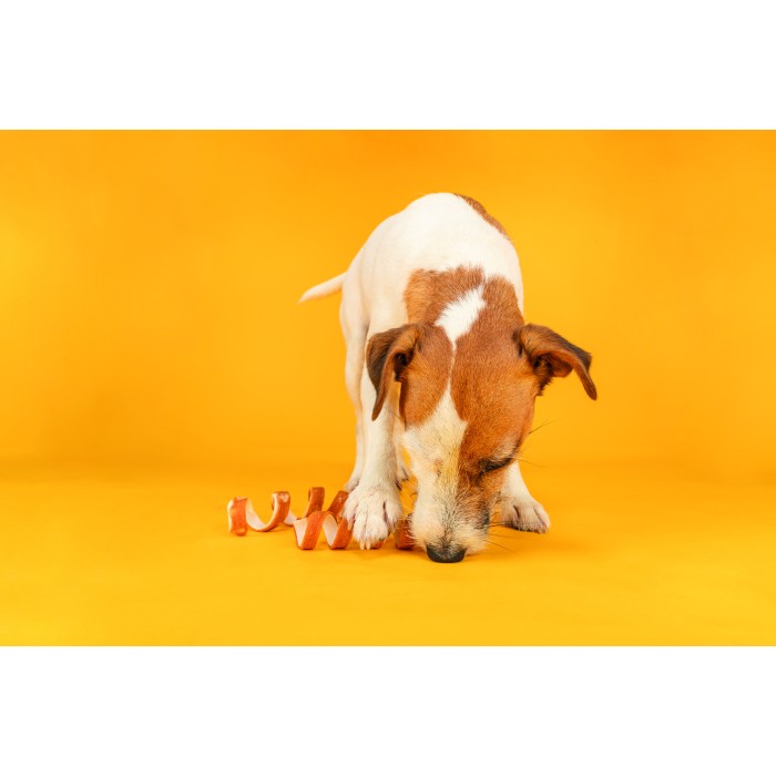 Жевательная палочка"Chewing Brush" TRIXIE (курица)15см/110гр (уп.3шт)