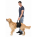 Підтримка-ходунки для собак, TRIXIE; L-XL: 75-90см, чорний, до: 45 кг  - фото 2