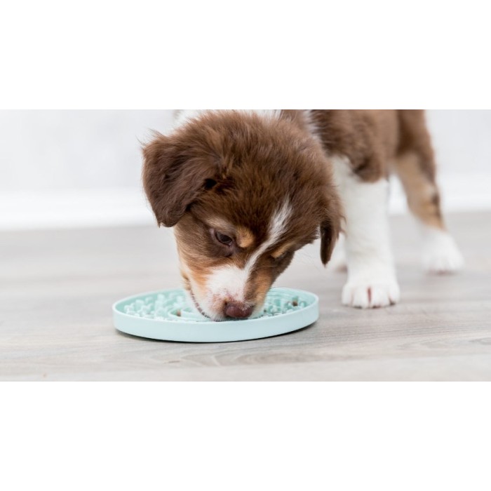Миска для цуценят Trixie Junior для повільного годування блакитна, пластик, d=15 см