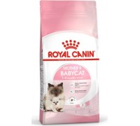 Royal Canin Mother&Babycat для котят в возрасте от 1 до 4 месяцев 10 к..