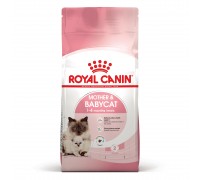 Корм для новорожденных котят и кошек во время беременности ROYAL CANIN..