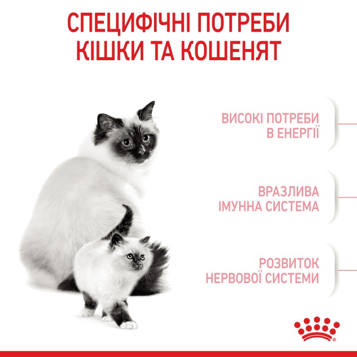 Корм для новонароджених кошенят і кішок під час вагітності ROYAL CANIN MOTHER & BABYCAT 10.0 кг