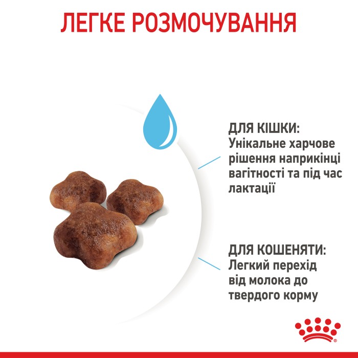 Корм для новонароджених кошенят і кішок ROYAL CANIN MOTHER&BABYCAT 2.0 кг