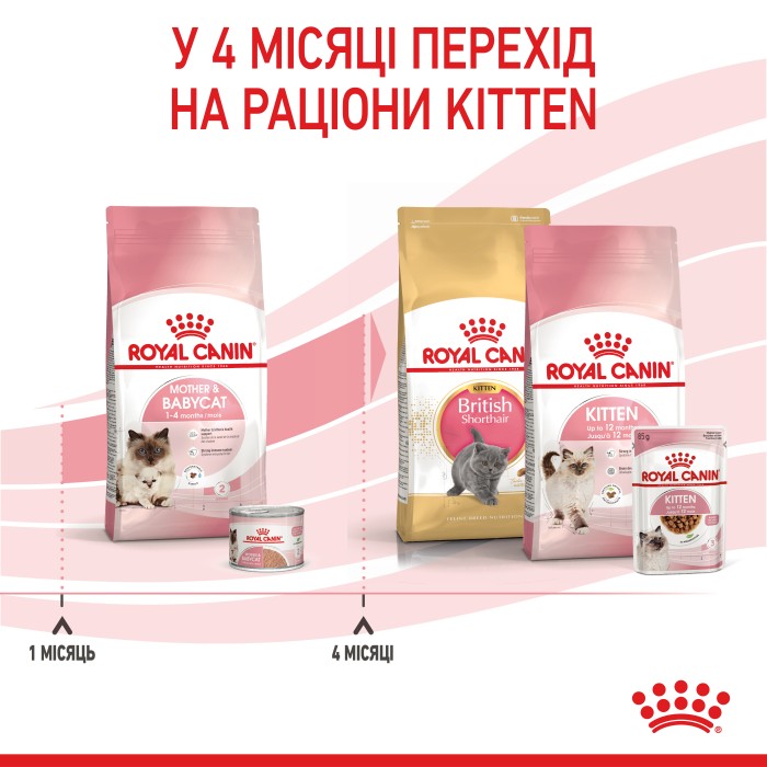 Корм для новонароджених кошенят і кішок під час вагітності ROYAL CANIN MOTHER & BABYCAT 10.0 кг
