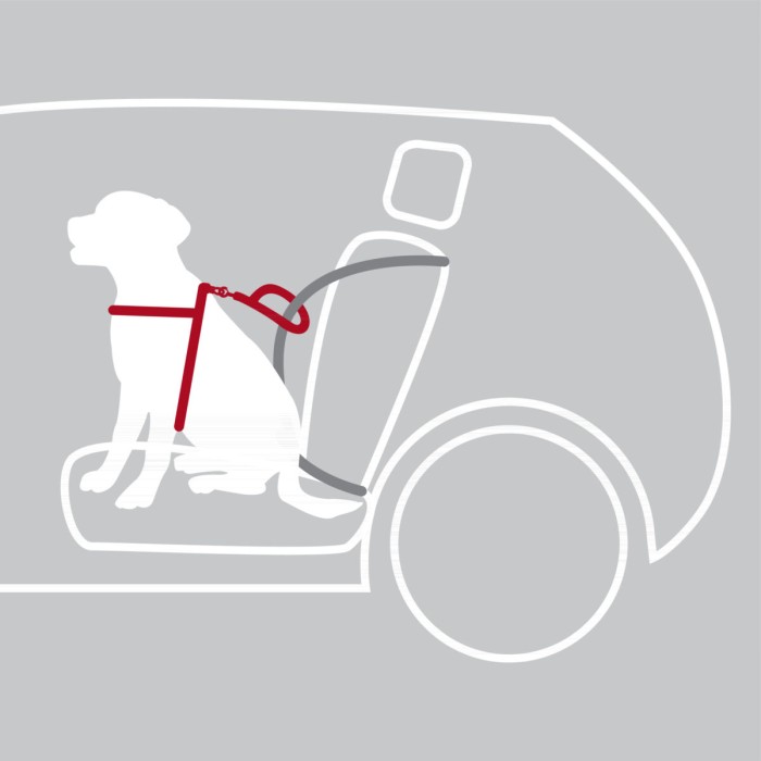 Захисна шлейка в авто для собак TRIXIE - Dog Protect, 65-80 см/25 мм,
