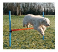 Сборный барьер для собак TRIXIE, 123 x 115 см, D- 3 см..