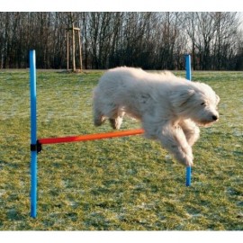 Сборный барьер для собак TRIXIE, 123 x 115 см, D- 3 см..
