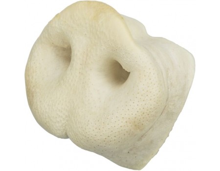 Свинные рыльца для собак TRIXIE, 1 шт