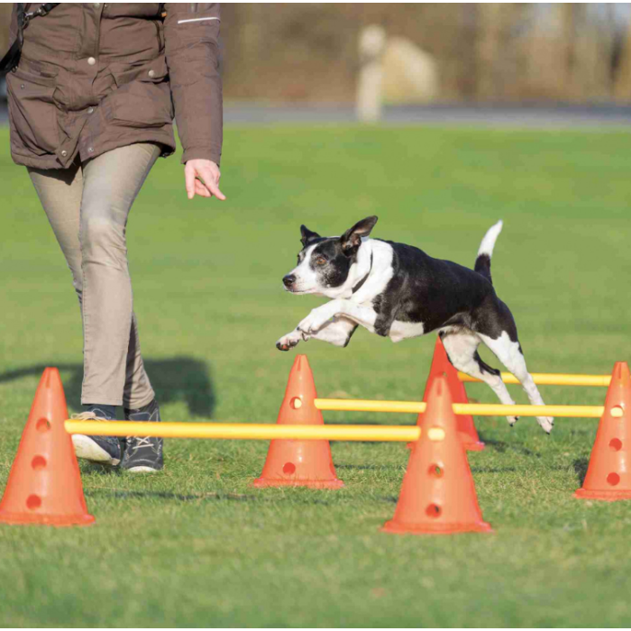 Набір перешкод "Dog Activity" TRIXIE (пластик)? 23 x 30см/78см,оранж/жовтий