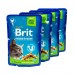Набір паучів "3+1" для стерилізованих котів Brit Premium Cat pouch Chicken Slices for Sterilised з куркою, 4х100г  - фото 2