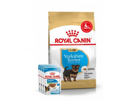 Акція // Сухий корм для цуценят ROYAL CANIN YORKSHIRE  PUPPY 1,5кг + 4 паучі в подарунок