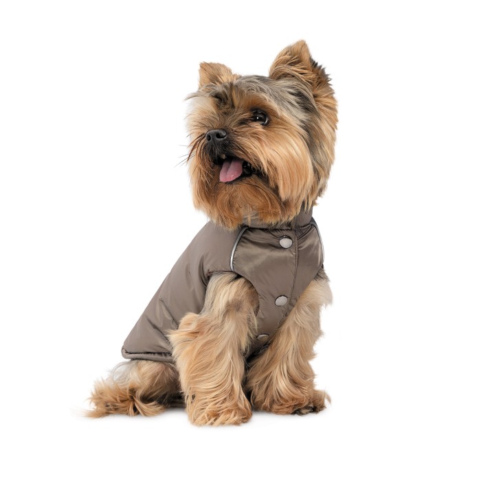 Pet Fashion Жилет Hardy XS2 для собак