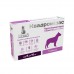 Квадромідас протипаразитарні таблетки для собак 8-16 кг, 0,8 г, MODES 
