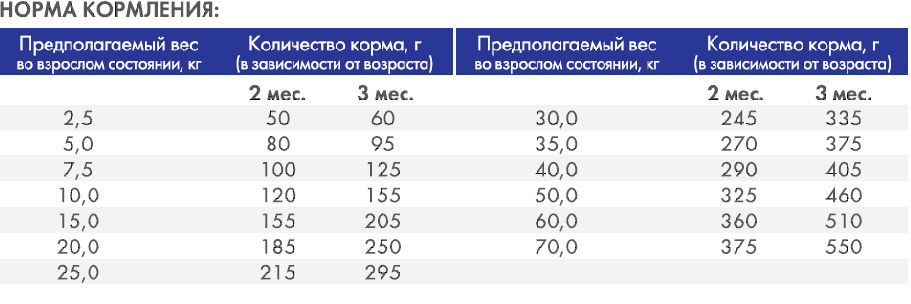 нормы кормления Adult с лососем и картофелем