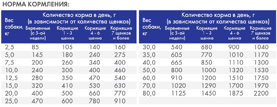 нормы кормления Reproduction